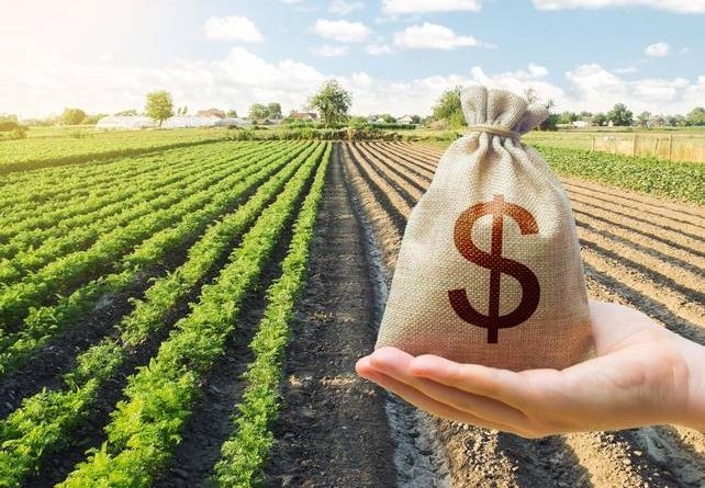 CRA do Senado aprova refinanciamento de dívidas de agricultores
